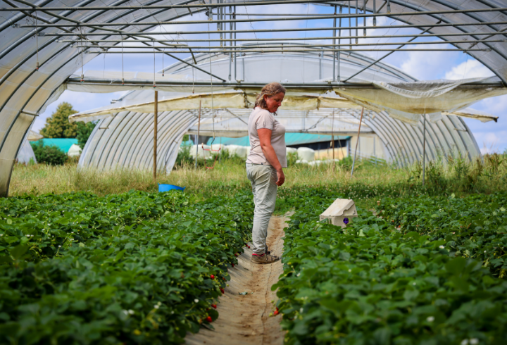 jeannie-legumes-commerce-ferme