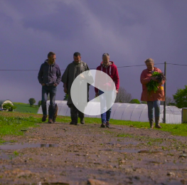 jeannie-legumes-video-printemps